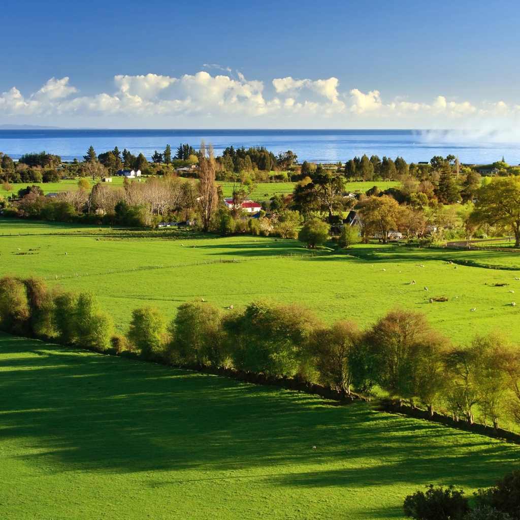 Утро в деревне