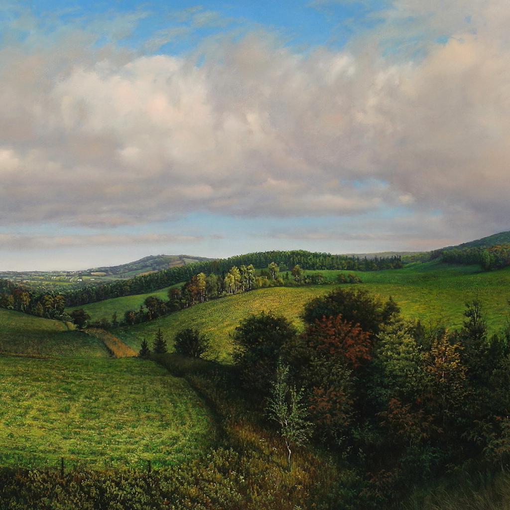 Летнее утро