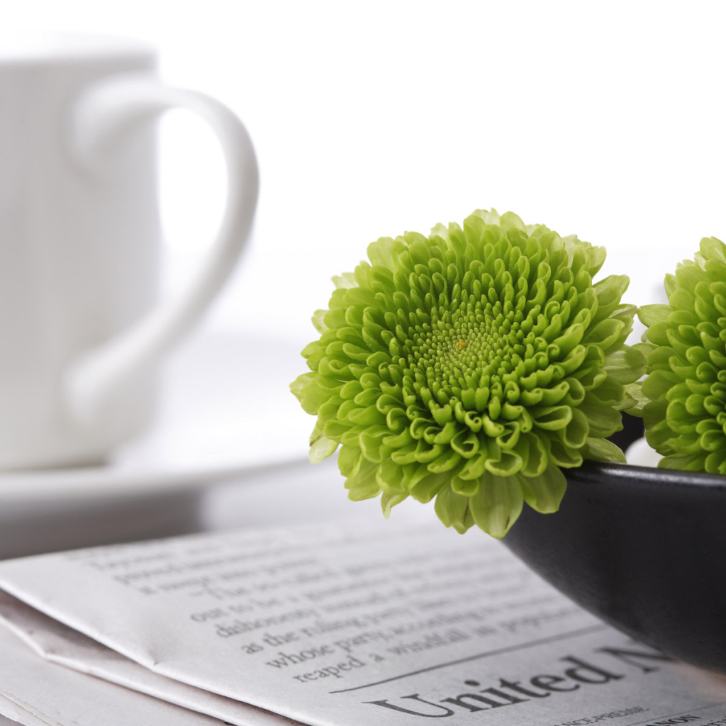 Зеленые цветы