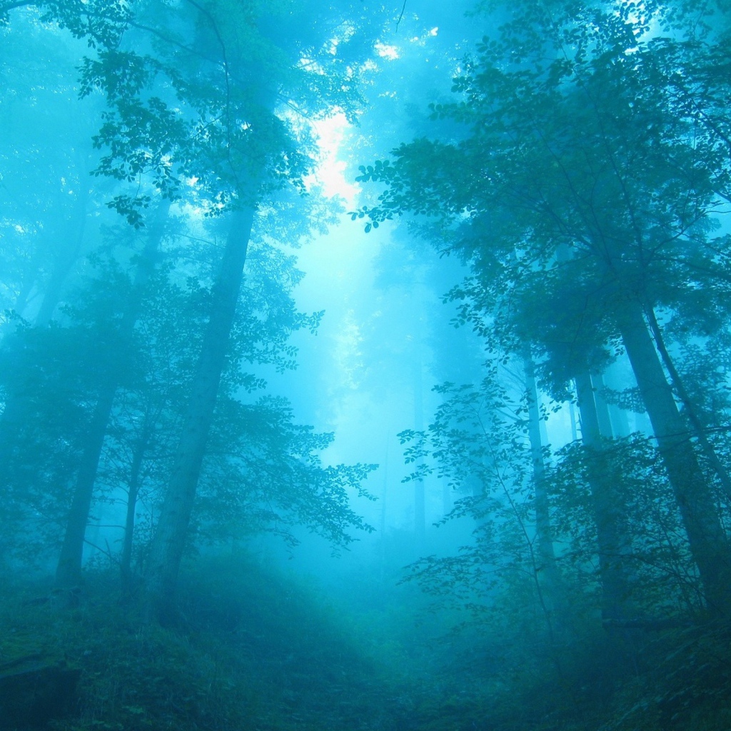 Голубой лес