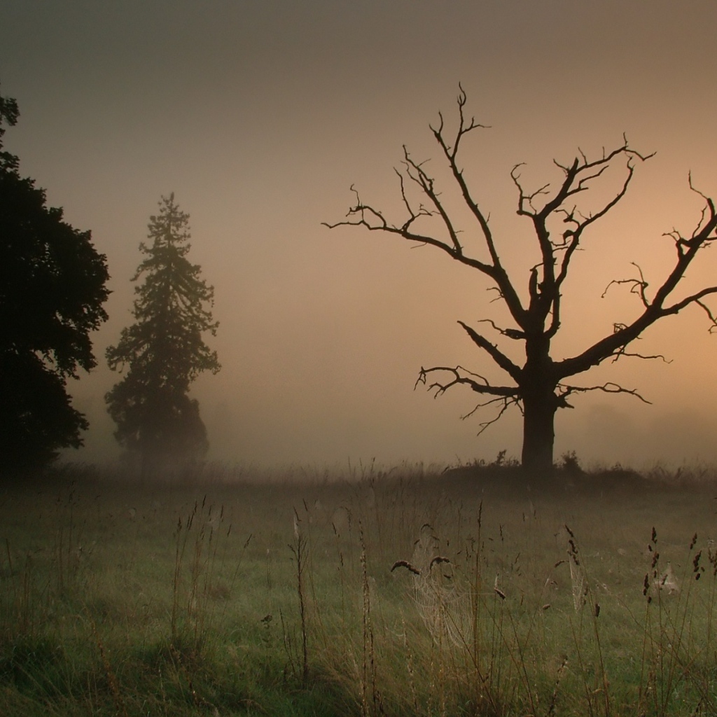 Сумрачный туман