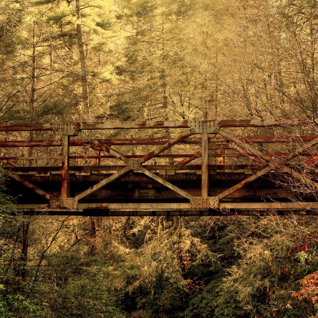 Железнодорожный мост в лесу