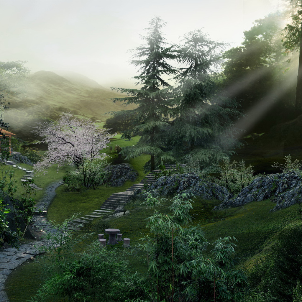 Дорожка в лес