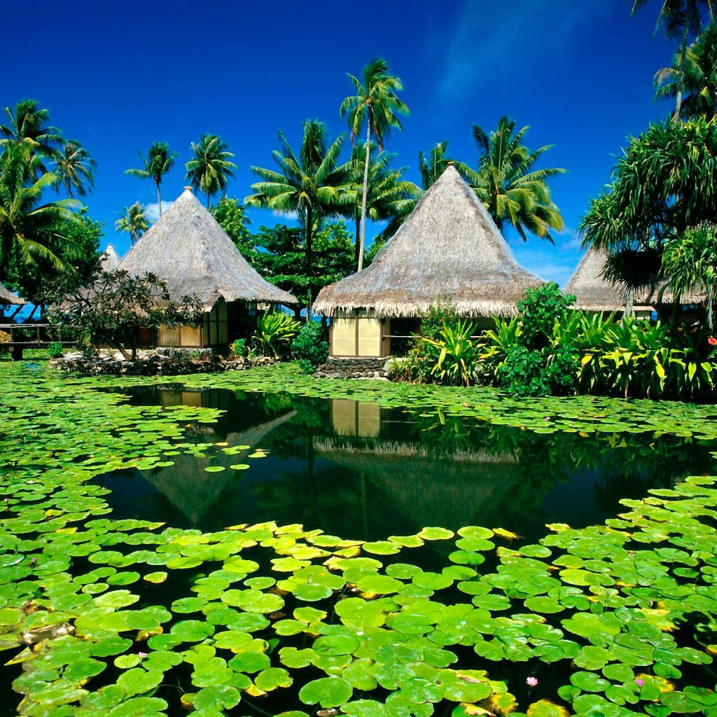 Рай на острове