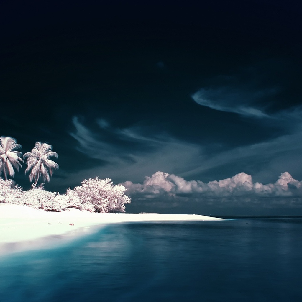 Белый остров