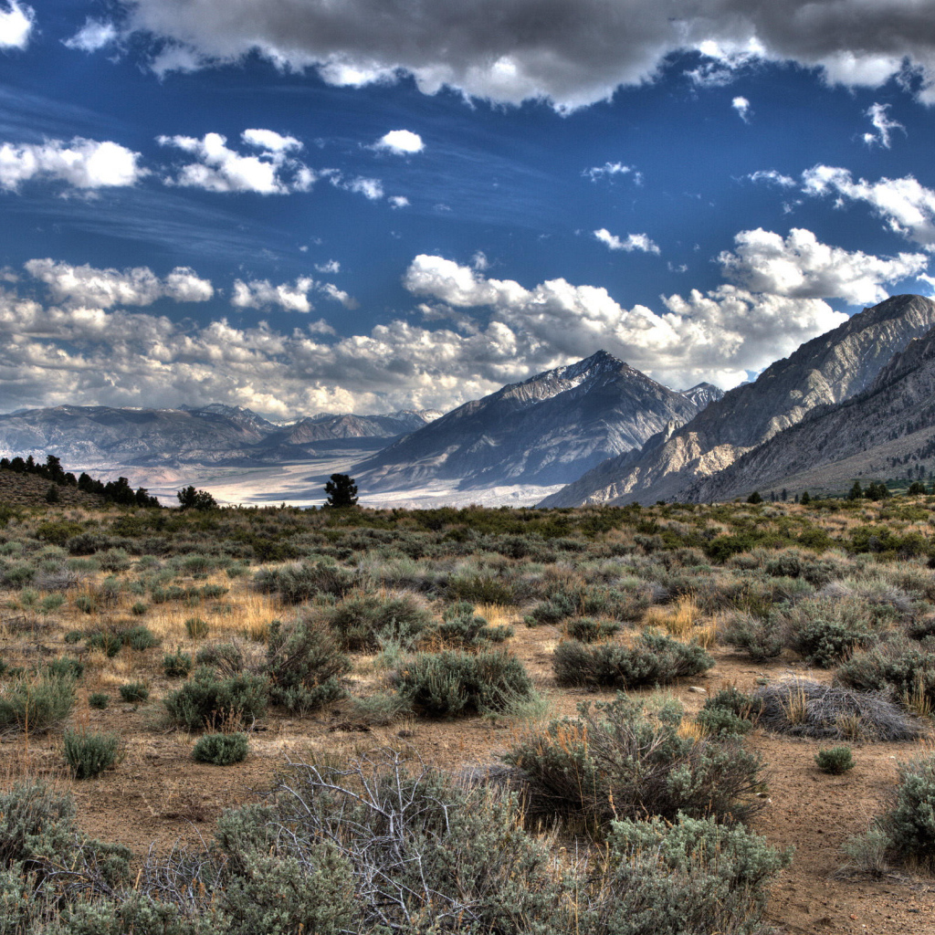 Пустынная долина