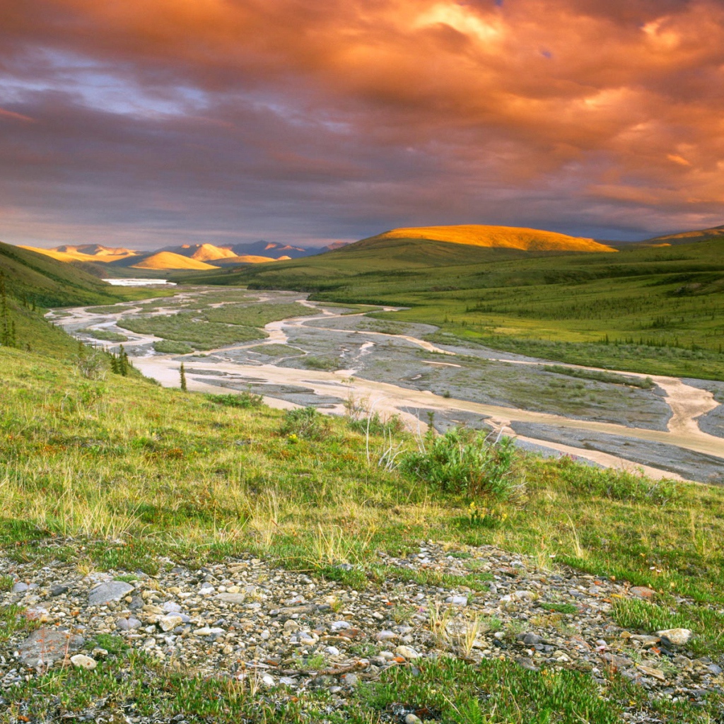 Холмистая долина