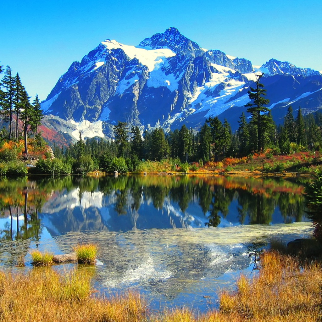 Невероятно красивый вид на горы