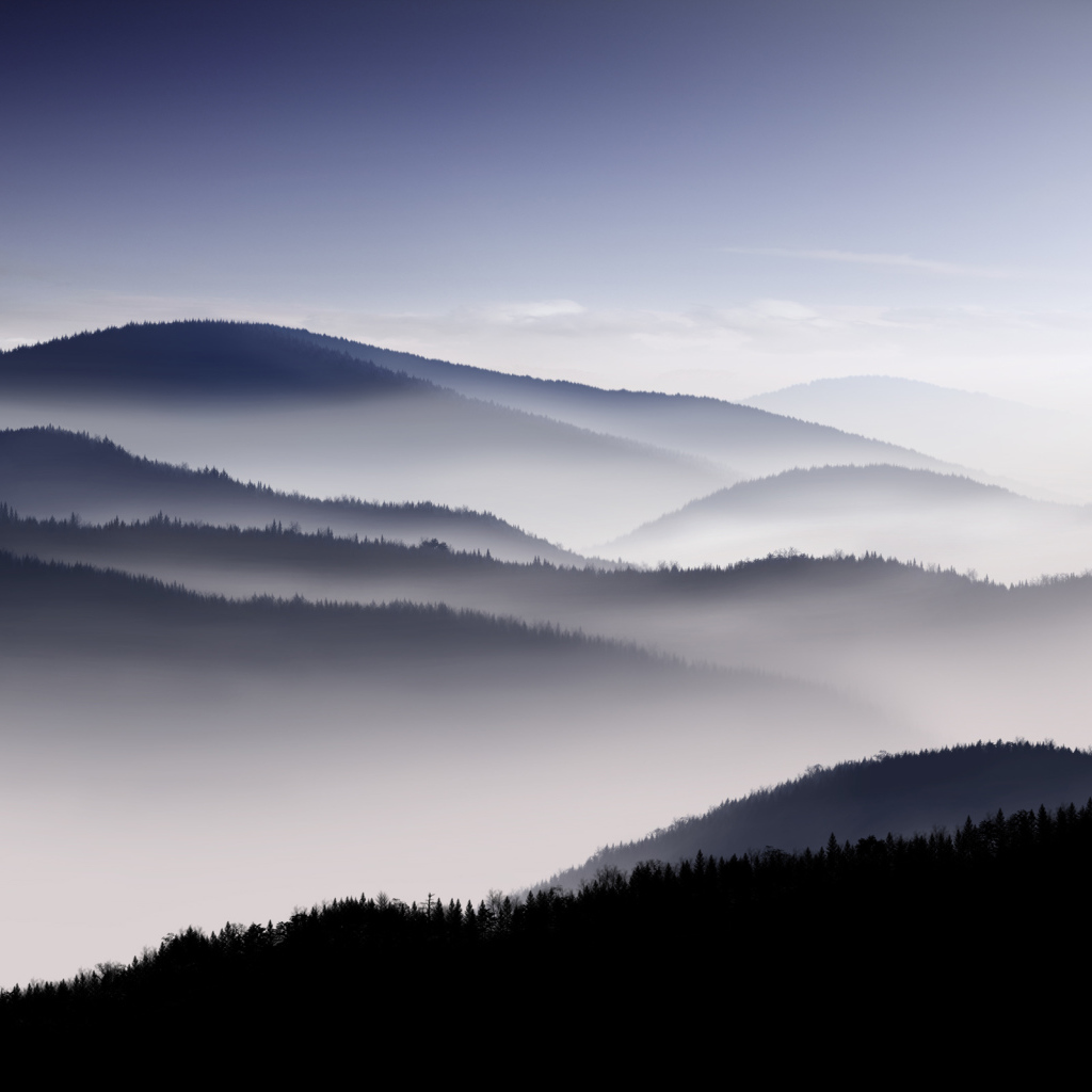 Туманные холмы