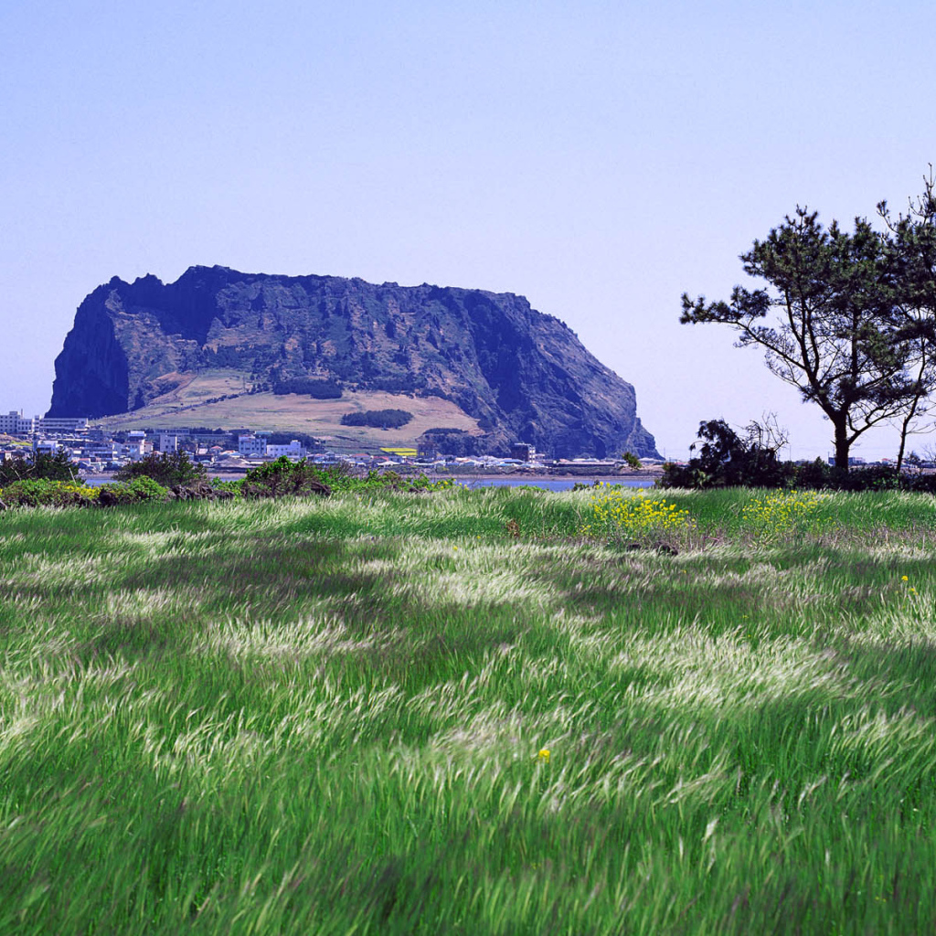 Гора у города