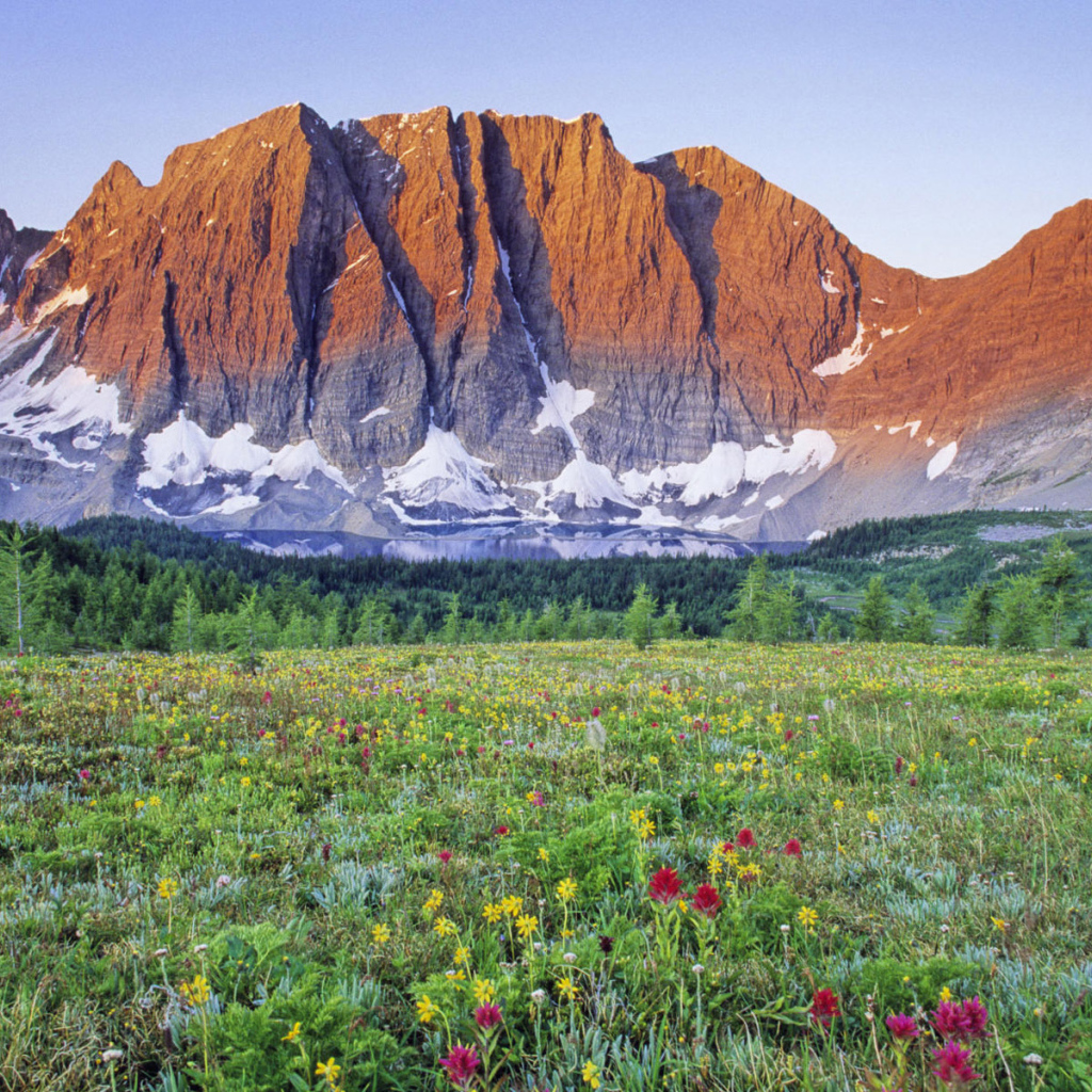 Долина у подножия горы