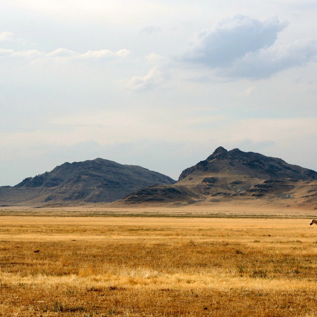 Дикий Запад