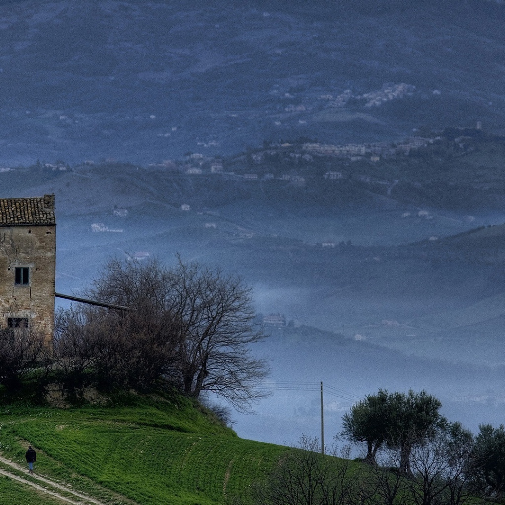 Туманные холмы