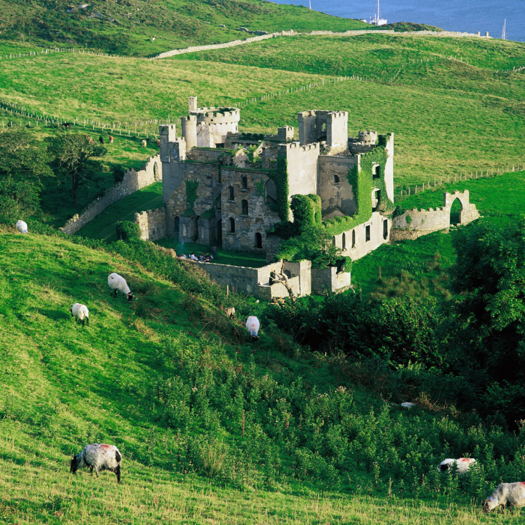 Зеленые холмы