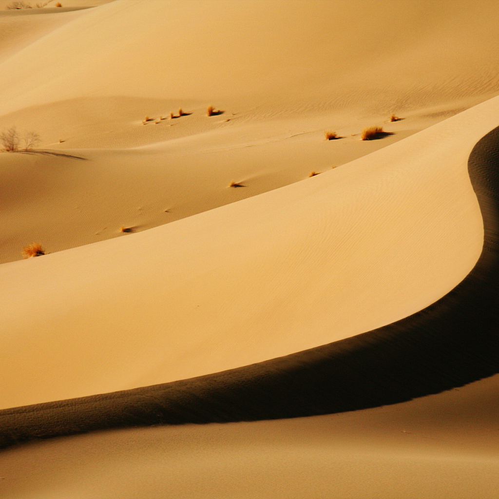 Песочные дюны