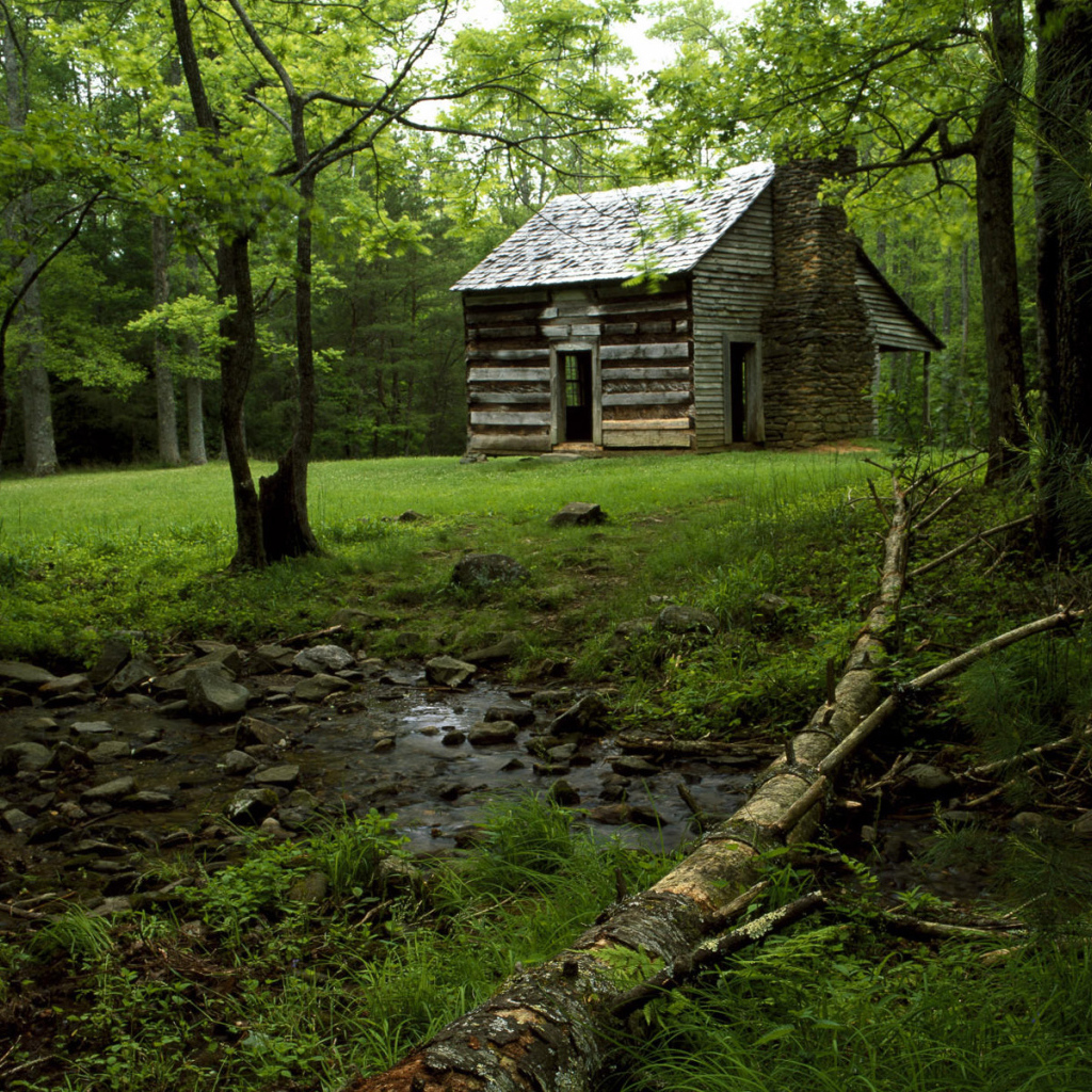 Дом на лесной поляне