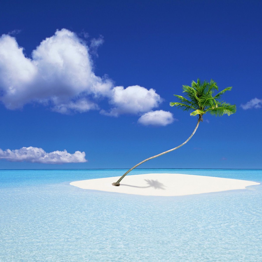 Островок с пальмой