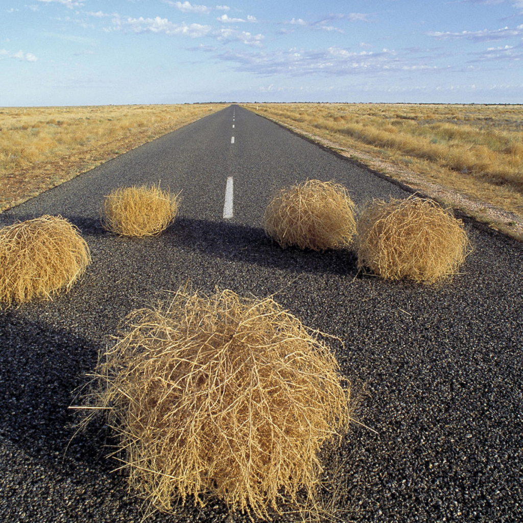 Дорога через пустыню