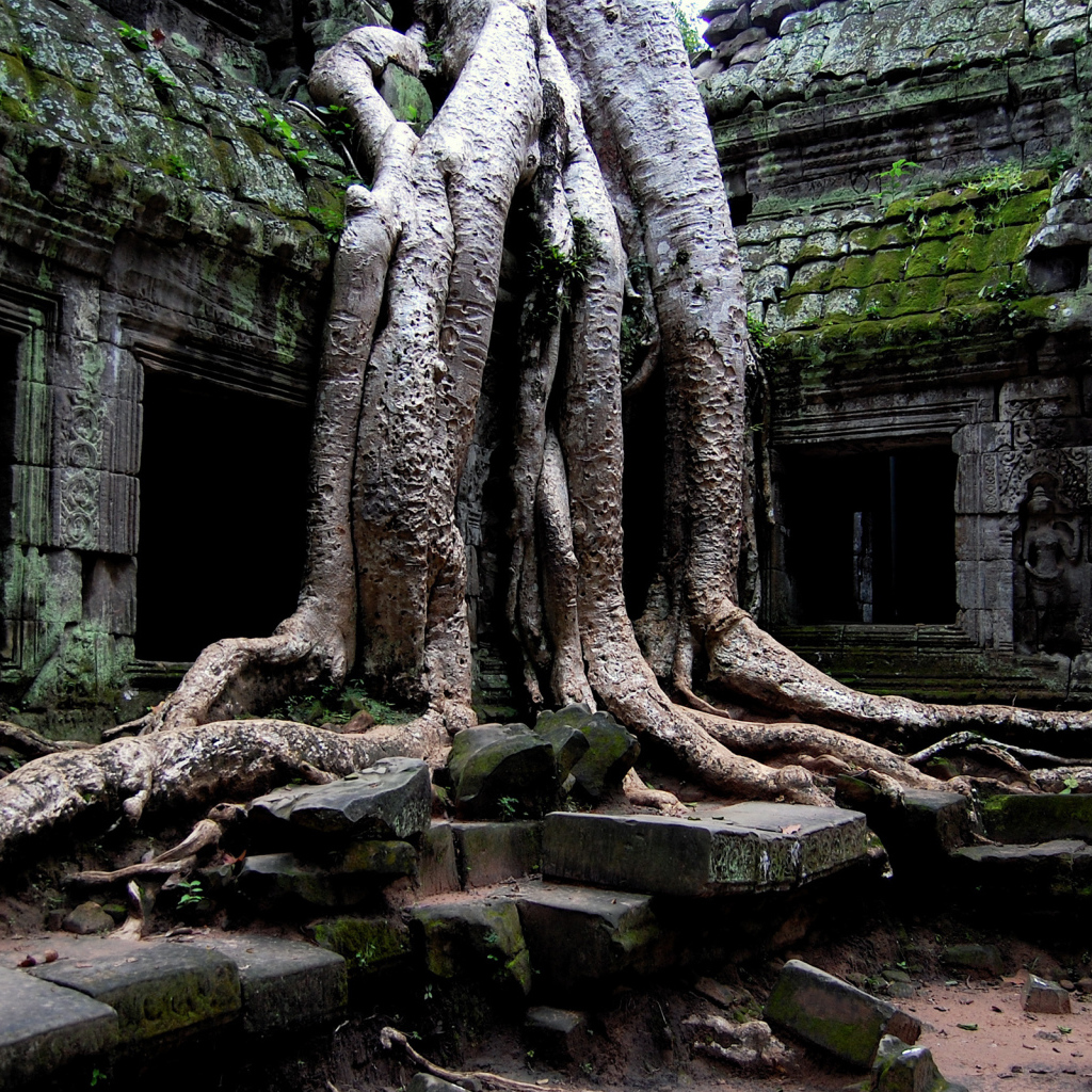 Храм в джунглях