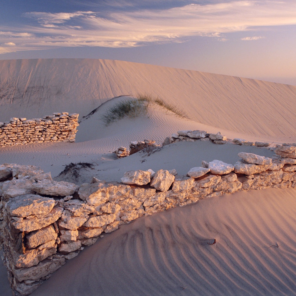 Белые пески пустыни