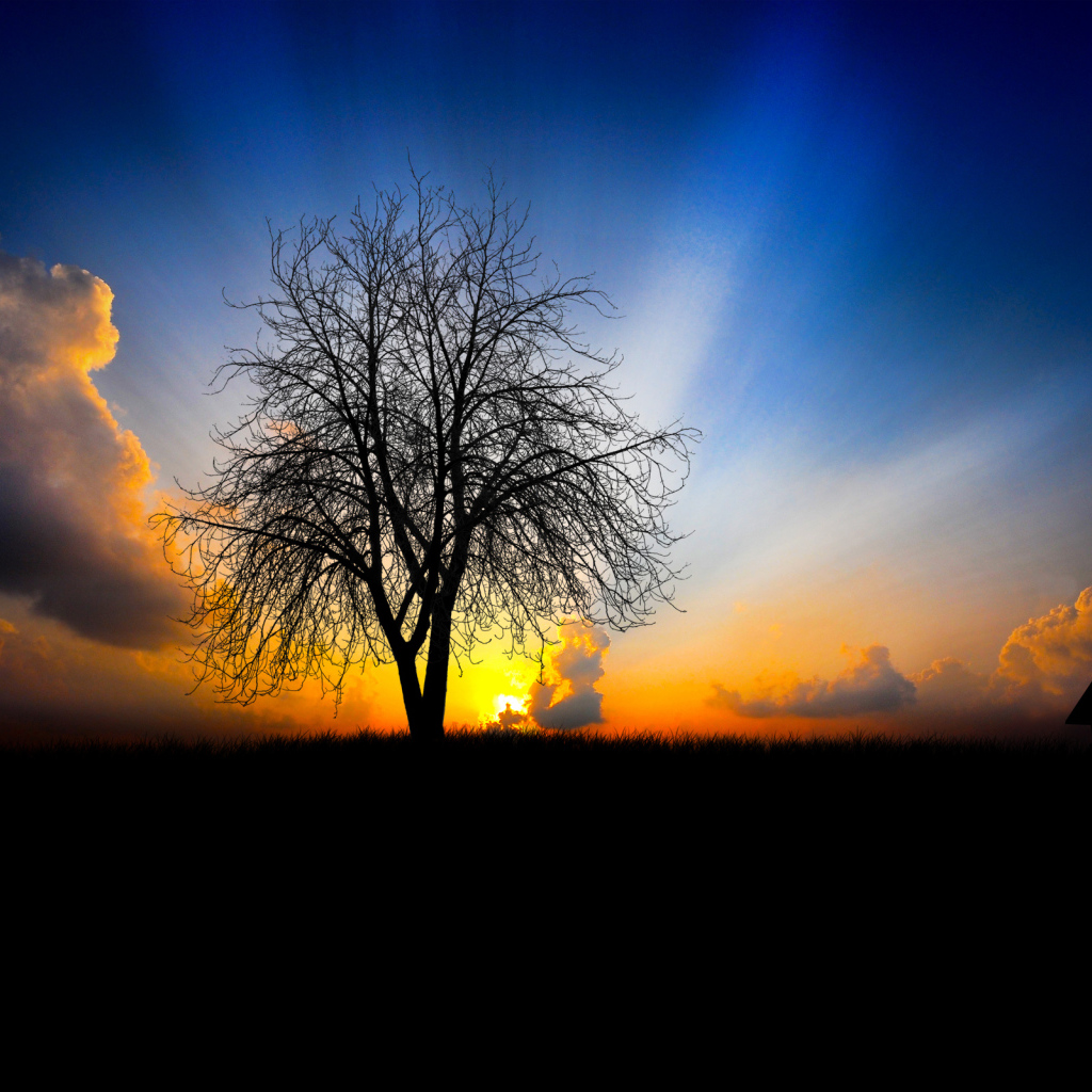 На закате дня