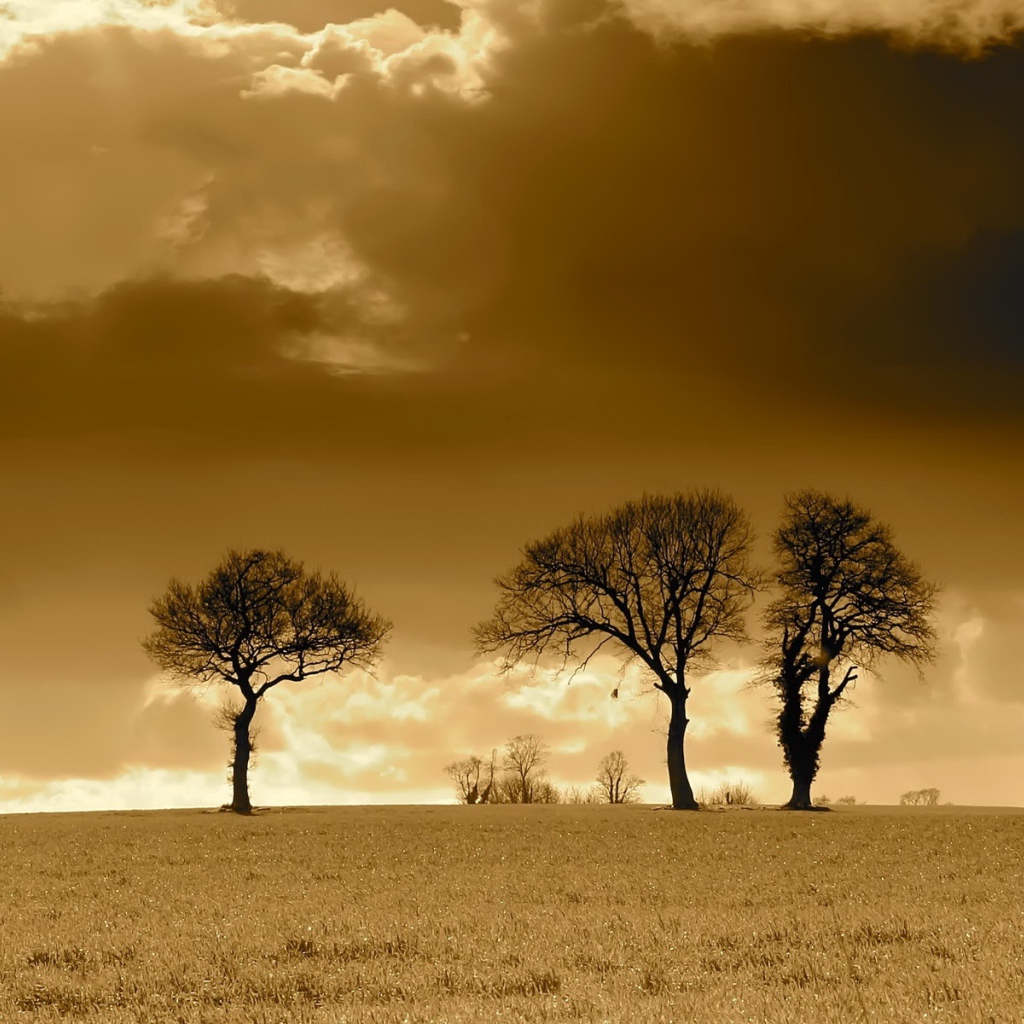 Вечерние облака