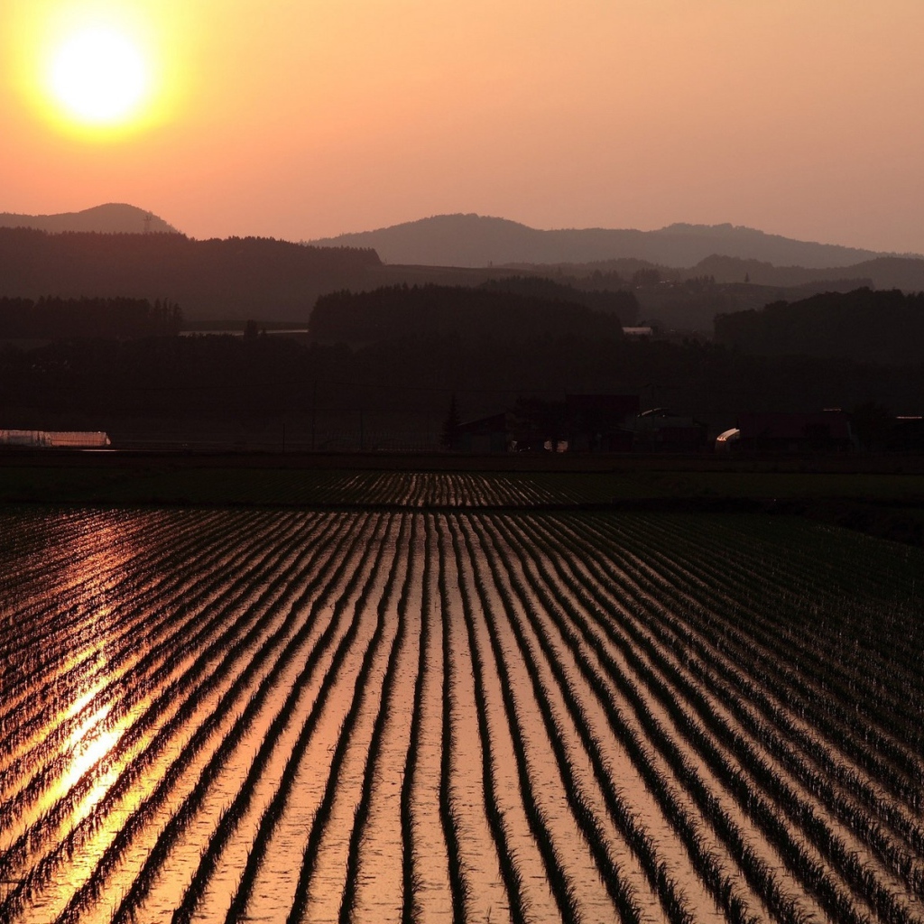 Невероятно красивый закат