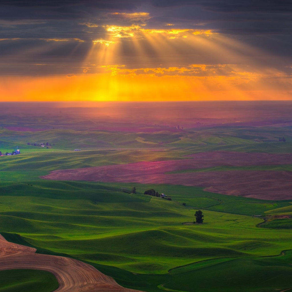 Поля на закате