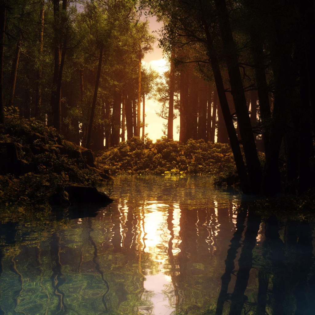 Лесная река на закате