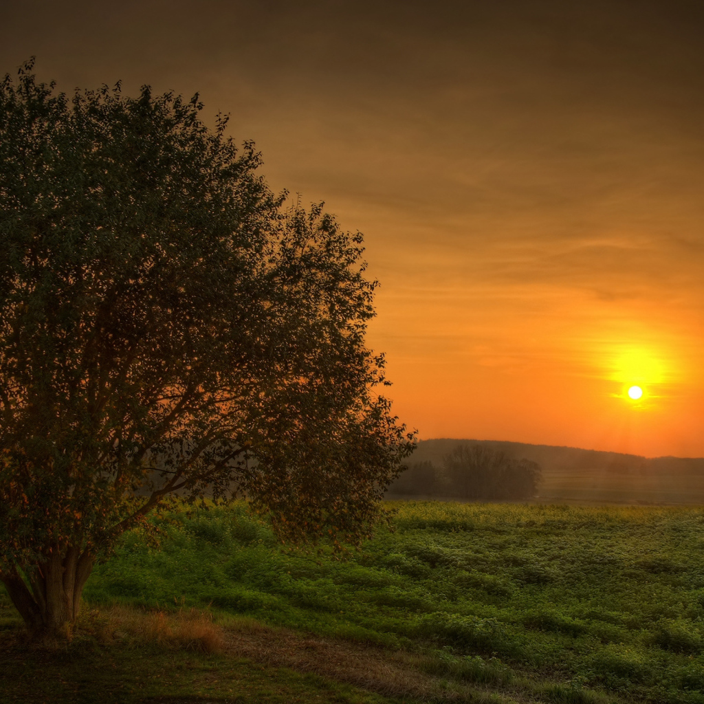 Загадочный закат