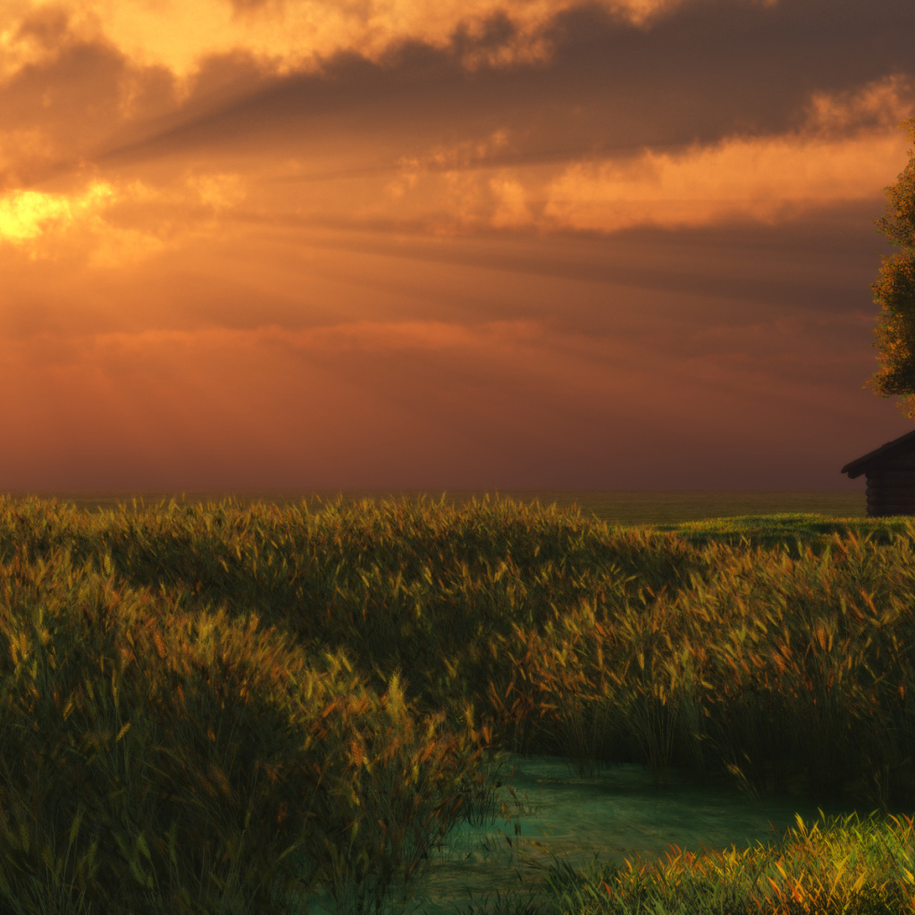 Летний вечер