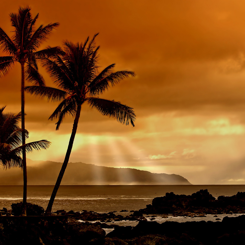 Закат в тропиках