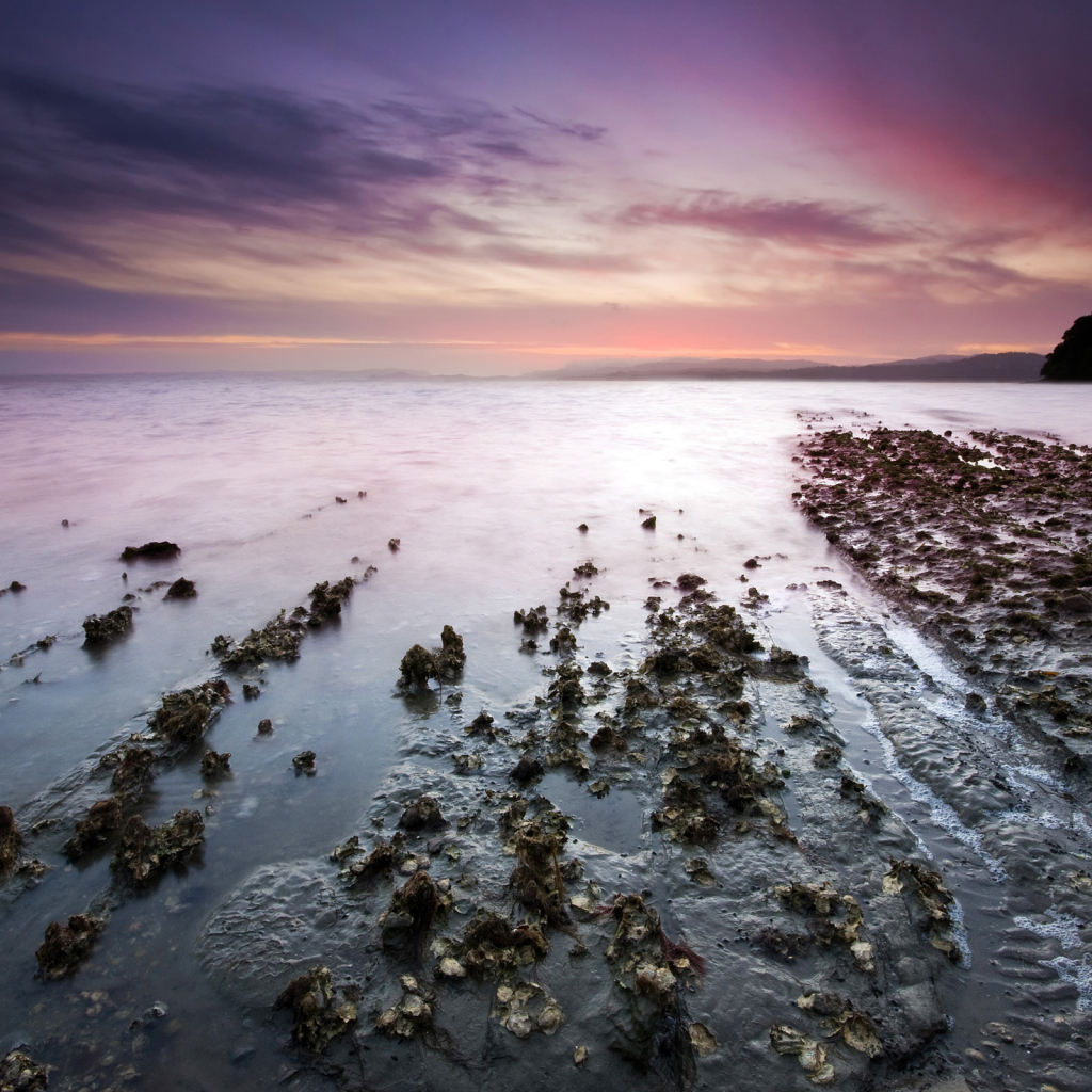 Залив на закате