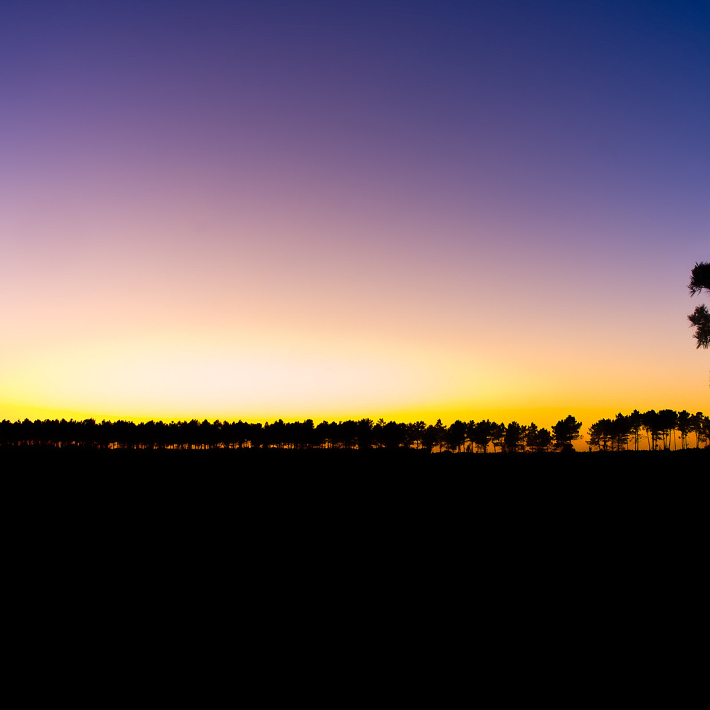 Последний луч света