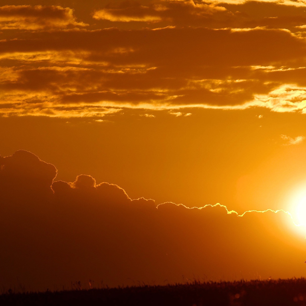 Лучи заходящего солнца