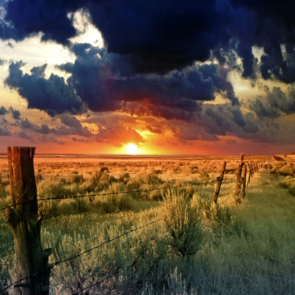 красивый закат на горизонте