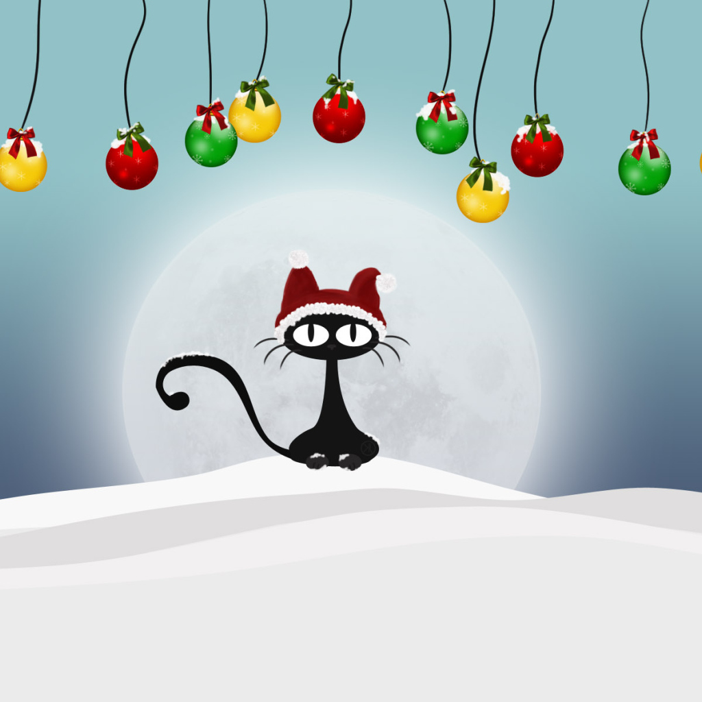 Кот на снегу