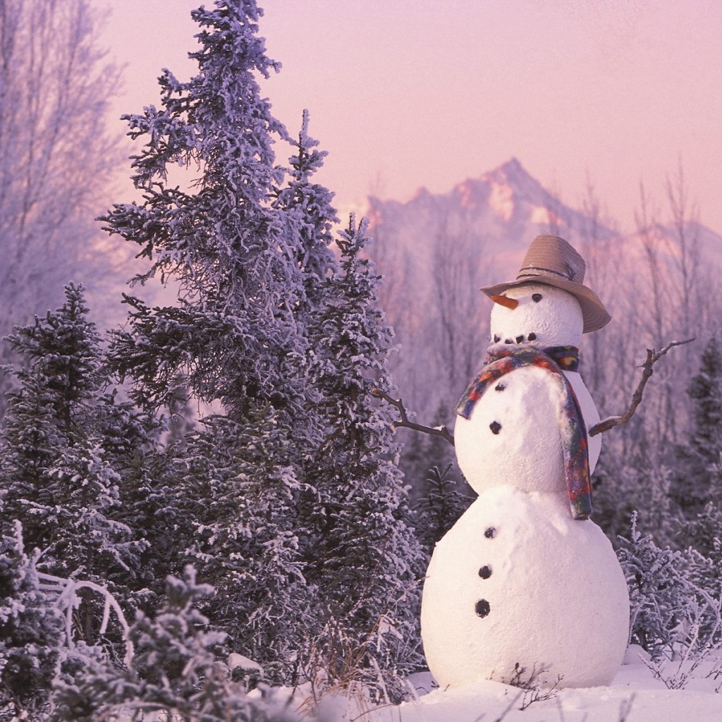 Снеговик в лесу