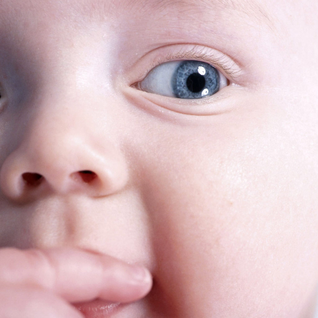 Любознательный малыш