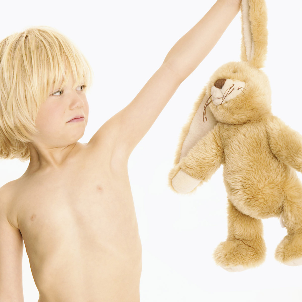 Мальчик и заяц