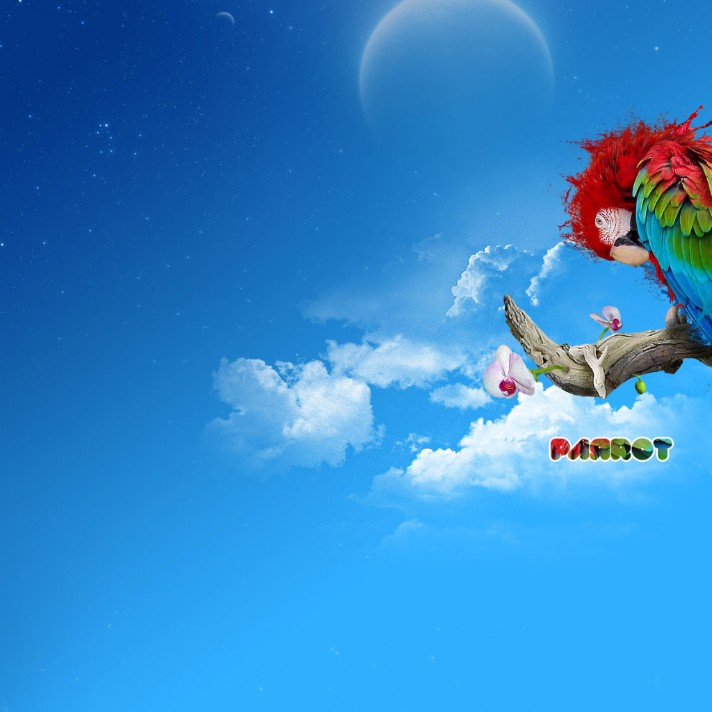 Яркий попугай