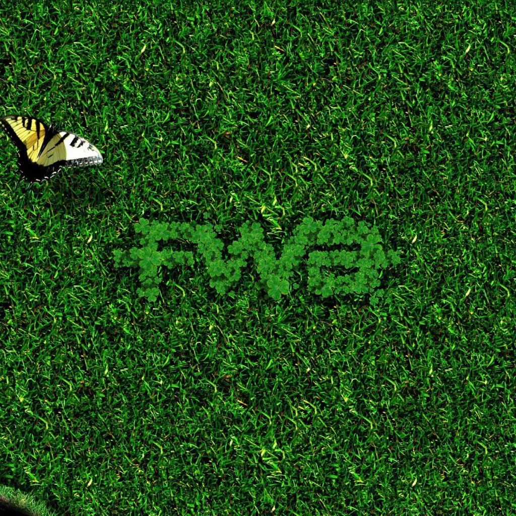 Бабочка на зеленой траве