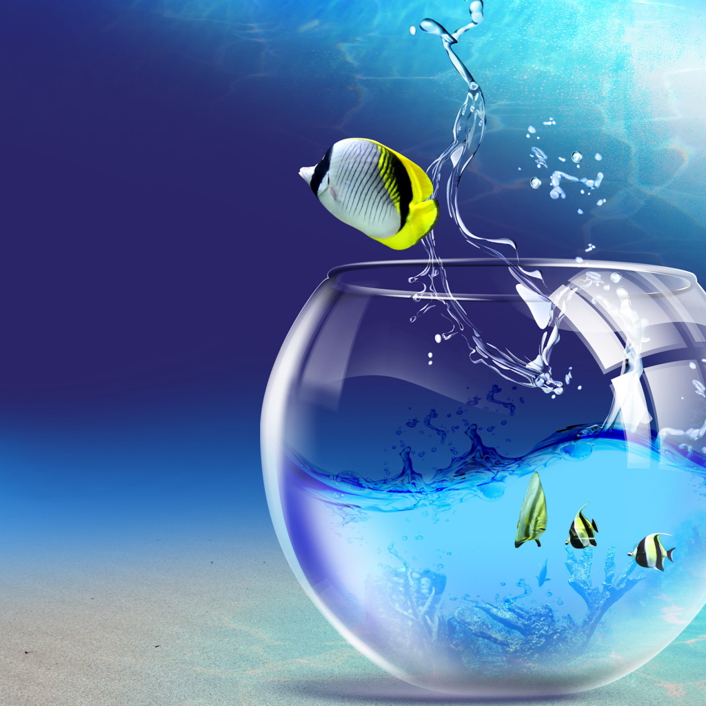 Прощание с аквариумом