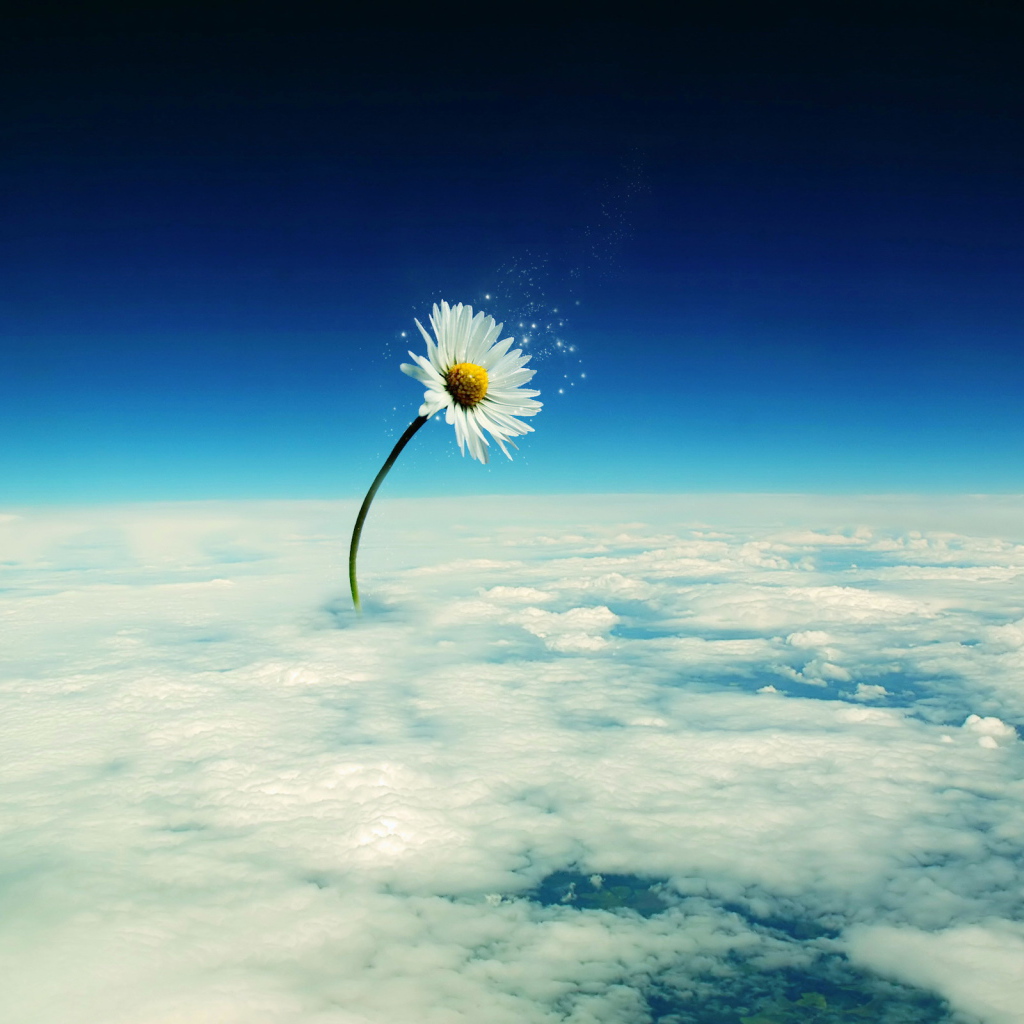 Небесный цветок