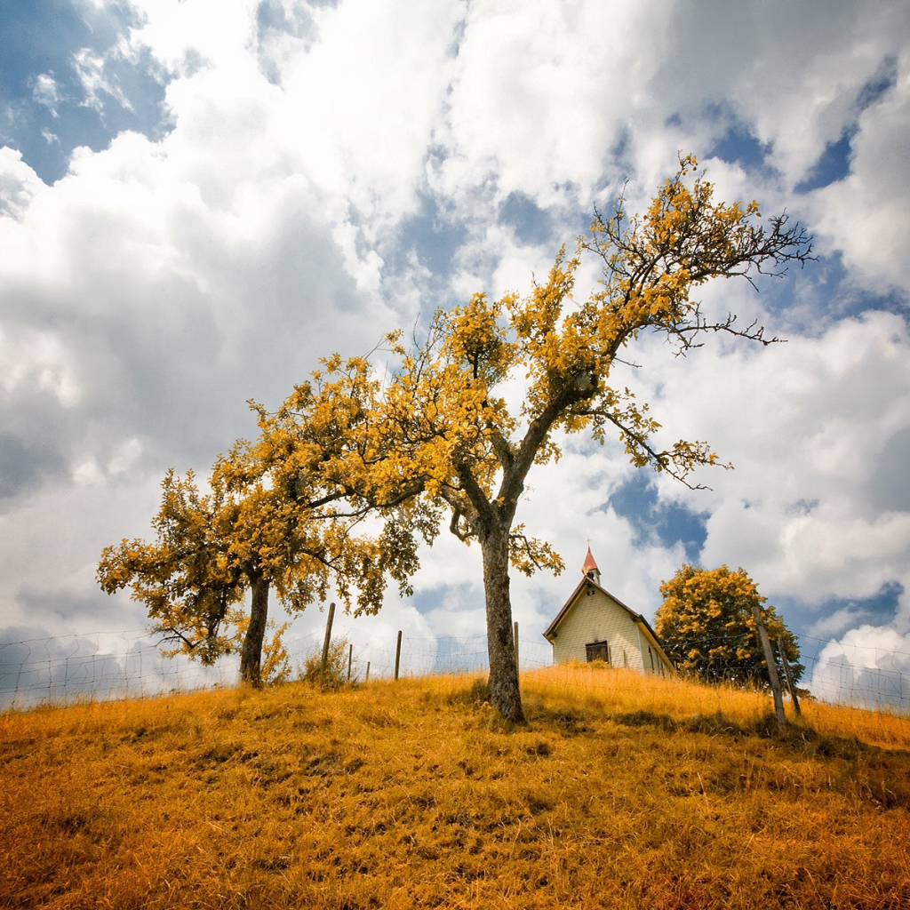 В желтом фокусе