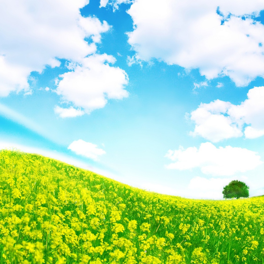 Крутая полянка