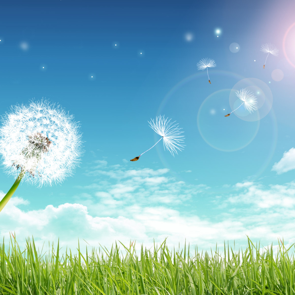 Летний день