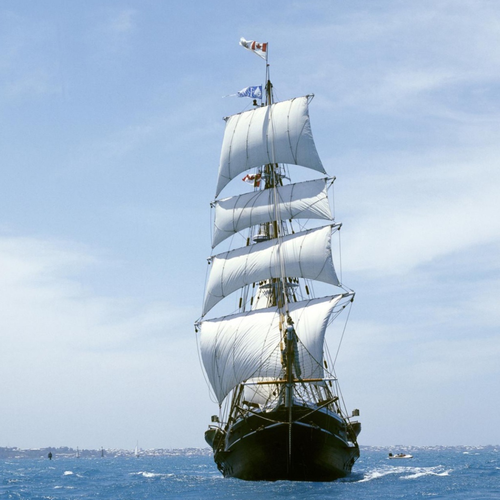 Белые паруса