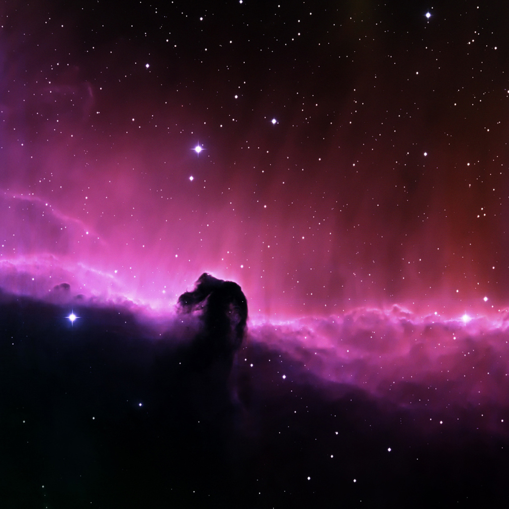 Туманность Лошади