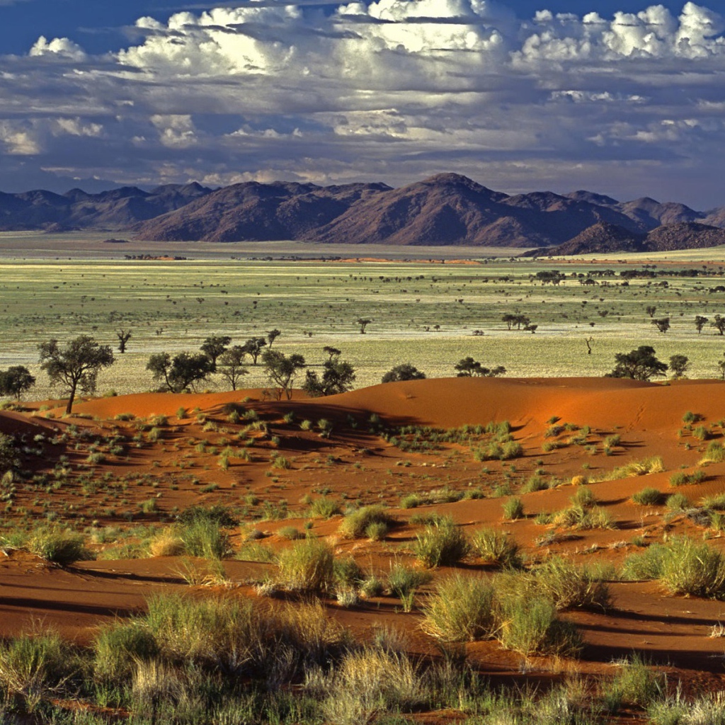 Африканская саванна